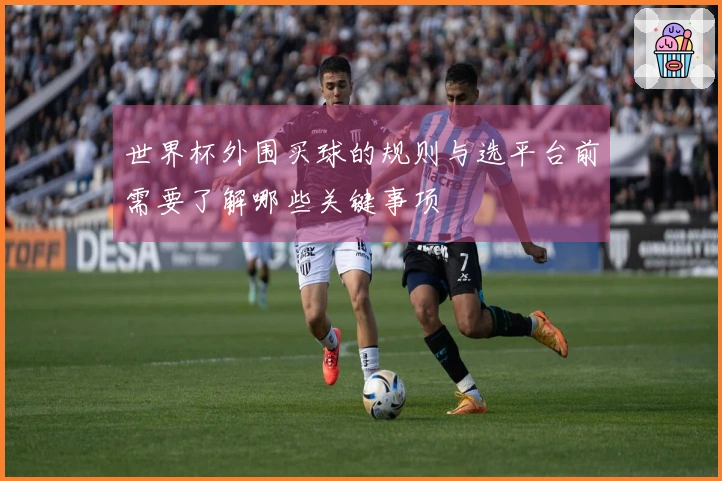 世界杯外围买球的规则与选平台前需要了解哪些关键事项