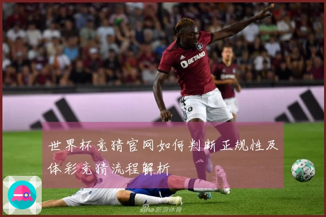世界杯竞猜官网如何判断正规性及体彩竞猜流程解析