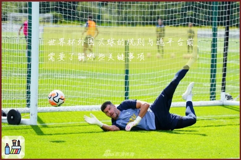 世界杯外围买球的规则与选平台前需要了解哪些关键事项