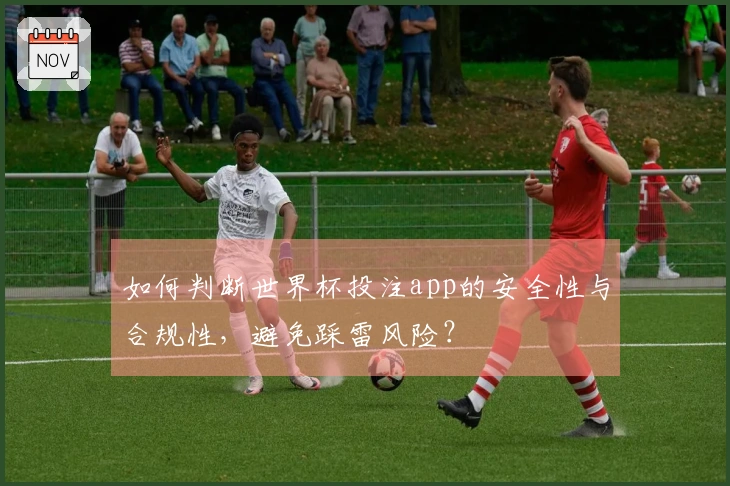 如何判断世界杯投注app的安全性与合规性，避免踩雷风险？
